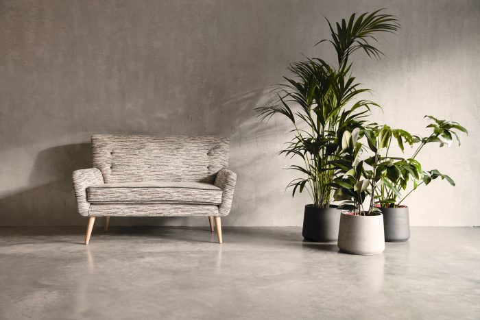 May sofa with plants